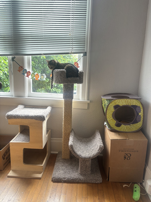 Custom cat furniture!