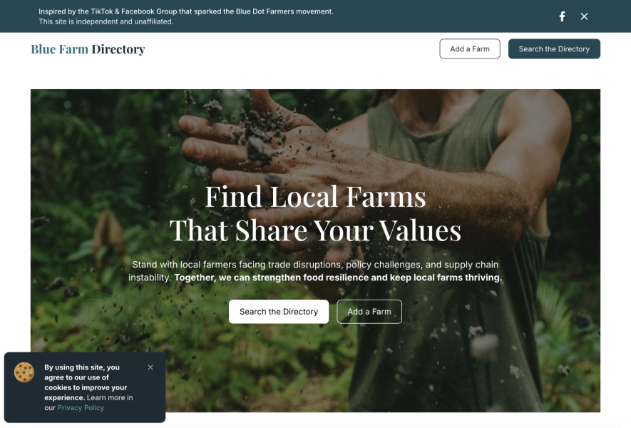 Website Strategy Sprint