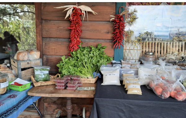 Fresh Food Processing Oct 13 AN ANCHOR ORG SERVICE OPPORTUNITY