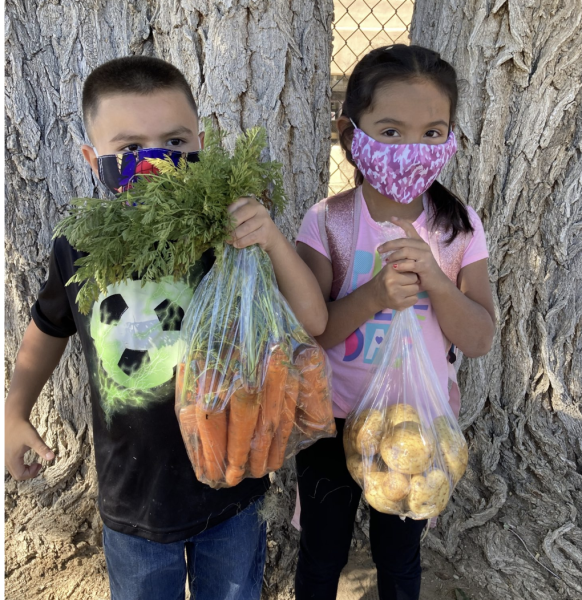 Help with HarvestFest Oct 14 at Enos Garcia AN ANCHOR ORG SERVICE OPPORTUNITY