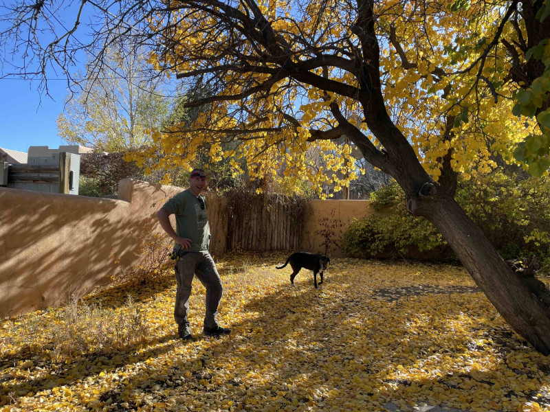 Consultation on old, overgrown fruit trees