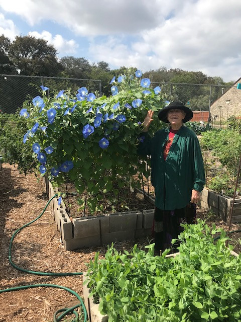 consulting about gardening, natural building, singing and dancing in groups