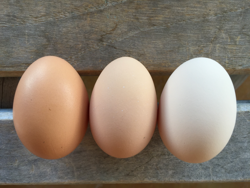 Interior design using what you already have to create a unique comfortable space.