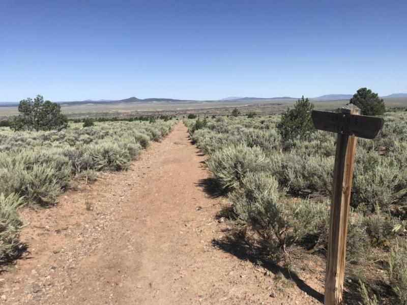 Winter Hike Companion