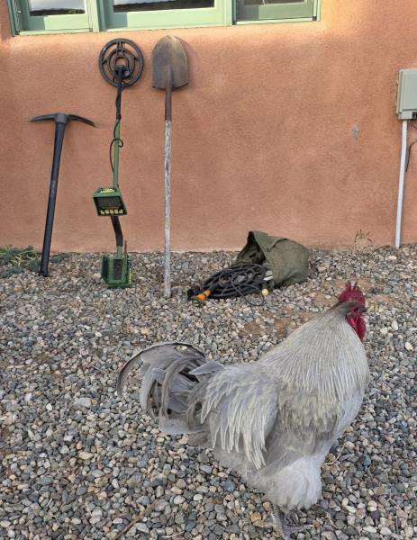 Metal detecting- Have you lost your keys? Pretty sure you're sitting on Spanish gold? Let's look.